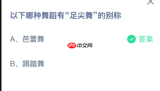 以下哪种舞蹈有足尖舞的别称