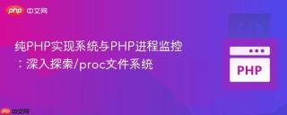 纯PHP实现系统与PHP进程监控：深入探索/proc文件系统