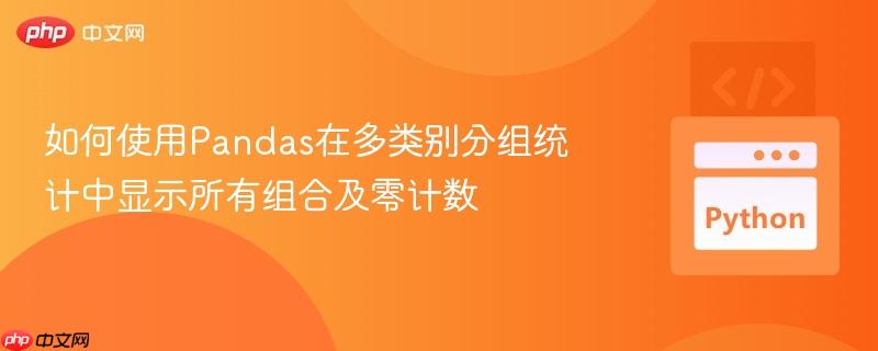 如何使用pandas在多类别分组统计中显示所有组合及零计数