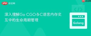 深入理解Go CGO与C语言内存交互中的生命周期管理