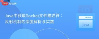Java中获取Socket文件描述符：反射机制的深度解析与实践