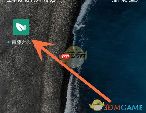 《青藤之恋》无痕搜索设置方法