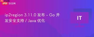 ip2region 3.11.0 发布 - Go 并发安全支持 / Java 优化