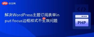 解决WordPress主题订阅表单input:focus边框样式不生效问题