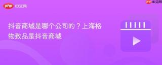 抖音商城是哪个公司的？上海格物致品是抖音商城