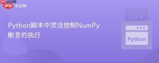 python脚本中灵活控制numpy断言的执行