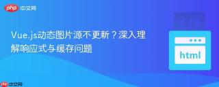 Vue.js动态图片源不更新？深入理解响应式与缓存问题