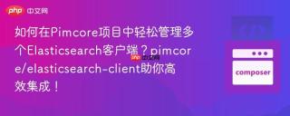 如何在pimcore项目中轻松管理多个elasticsearch客户端?pimcore/elasticsearch-client助你高效集成!