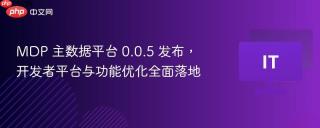 MDP 主数据平台 0.0.5 发布， 开发者平台与功能优化全面落地