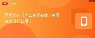 网页小红书怎么查看关注？查看关注有什么用？