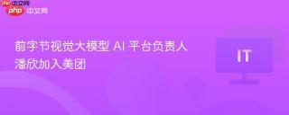 前字节视觉大模型 AI 平台负责人潘欣加入美团