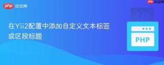 在Yii2配置中添加自定义文本标签或区段标题