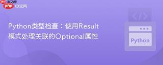 Python类型检查：使用Result模式处理关联的Optional属性
