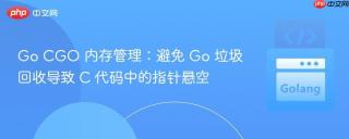 Go CGO 内存管理:避免 Go 垃圾回收导致 C 代码中的指针悬空