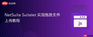 NetSuite Suitelet 实现拖放文件上传教程