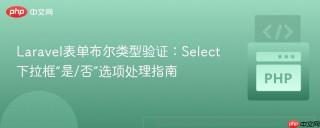 Laravel表单布尔类型验证：Select下拉框“是/否”选项处理指南