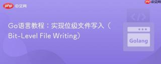 Go语言教程：实现位级文件写入（Bit-Level File Writing）