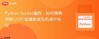 Python Socket编程：如何精确控制UDP/组播数据包的源IP地址