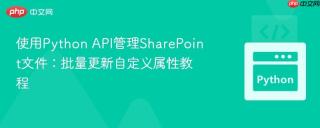 使用Python API管理SharePoint文件：批量更新自定义属性教程