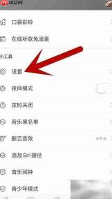 网易音乐开启流量下载设置