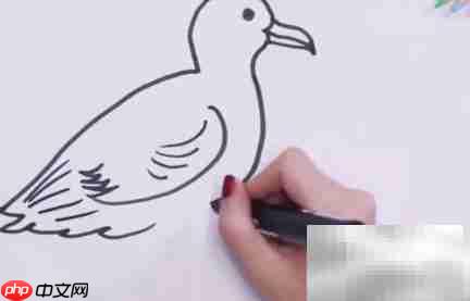 海鸥简笔画技巧,轻松上手