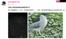 暴雪到底有没有卖数值？《暗黑4》新职业强度逆天