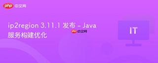 ip2region 3.11.1 发布 - Java 服务构建优化