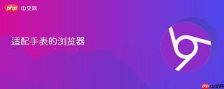 适配手表的浏览器