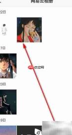 网易云音乐相册位置指南