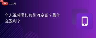 个人视频号如何引流变现?靠什么盈利?