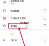极简日记app密码锁设置教程