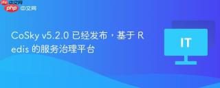 CoSky v5.2.0 已经发布，基于 Redis 的服务治理平台