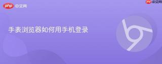 手表浏览器如何用手机登录