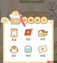 奶酪单词仓鼠苗苗解锁方式