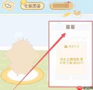 奶酪单词仓鼠苗苗解锁方式