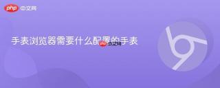 手表浏览器需要什么配置的手表