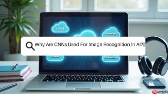 卷积神经网络 (CNN) 在 AI 图像识别中的应用详解