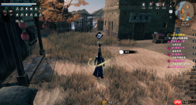 《下一站江湖2》最强搭配推荐