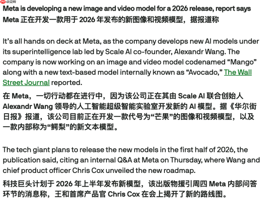Meta 计划在 2026 上半年发布全新图像视频模型与文本模型