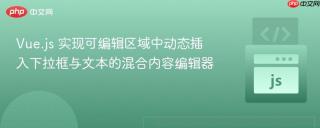 Vue.js 实现可编辑区域中动态插入下拉框与文本的混合内容编辑器