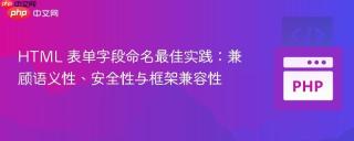 HTML 表单字段命名最佳实践：兼顾语义性、安全性与框架兼容性