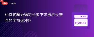如何优雅地遍历长度不可被步长整除的字节缓冲区
