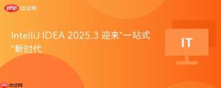 IntelliJ IDEA 2025.3 迎来“一站式”新时代