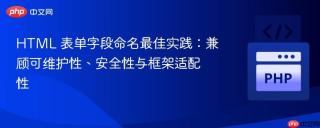 HTML 表单字段命名最佳实践：兼顾可维护性、安全性与框架适配性