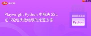 Playwright Python 中解决 SSL 证书验证失败错误的完整方案
