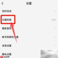 酷狗概念版开启黑色主题教程