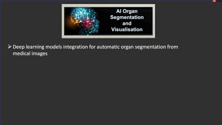 AI驱动的医学影像器官分割与3D可视化：临床应用的未来