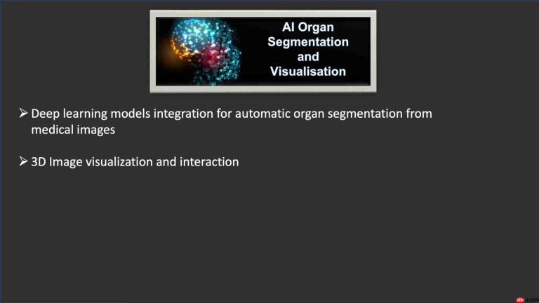 AI驱动的医学影像器官分割与3D可视化：临床应用的未来