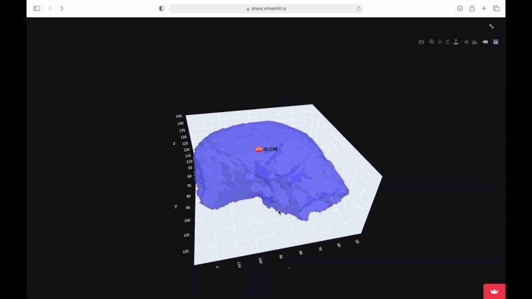 AI驱动的医学影像器官分割与3D可视化：临床应用的未来