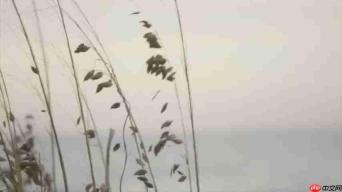 探索泰勒·斯威夫特《August》的深层含义:歌词解析与情感分析